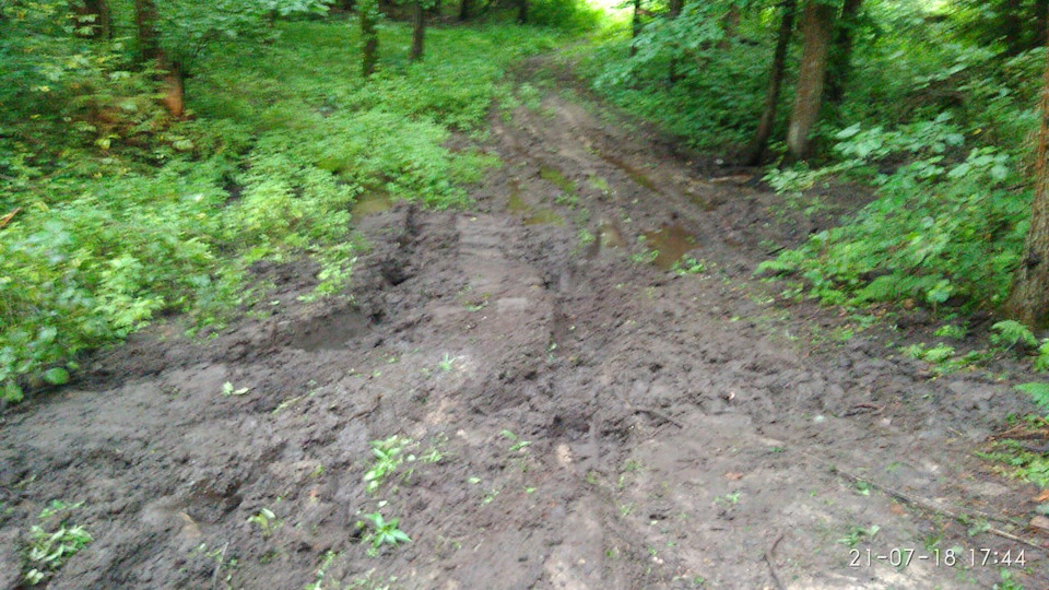 о том, как застрял в Лесу и выбрался. — Mitsubishi L200 (4G), 2,5 л ...