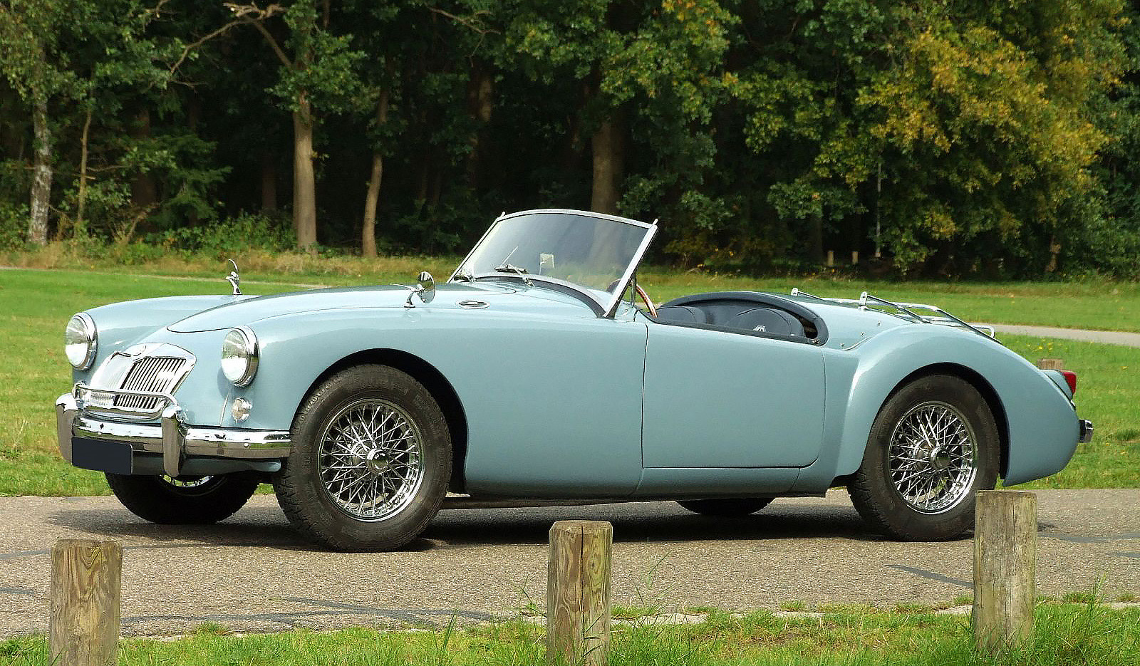 austin healey 100