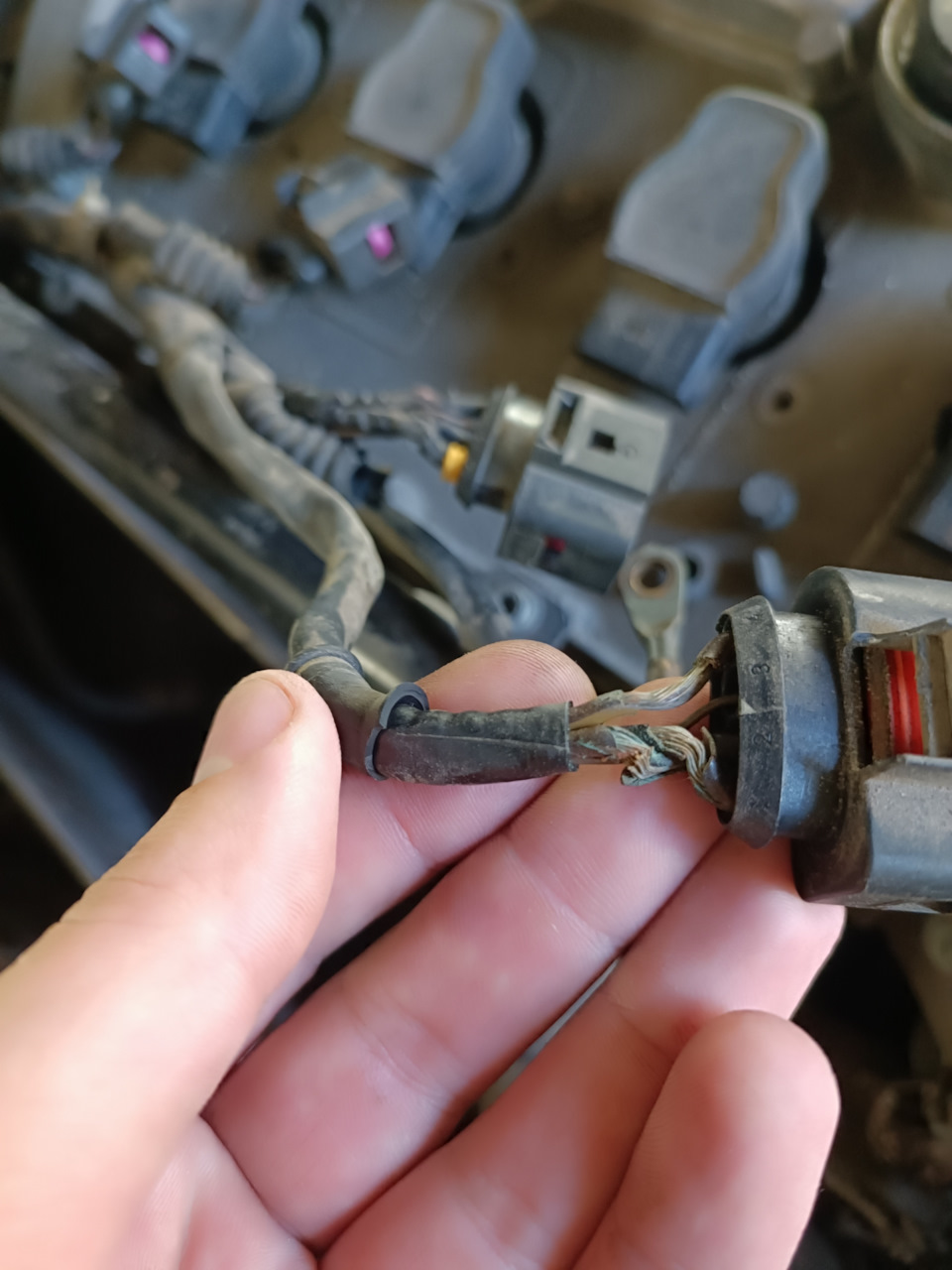 Замена проводки на катушки — Audi A4 (B6), 1,8 л, 2004 года | запчасти ...