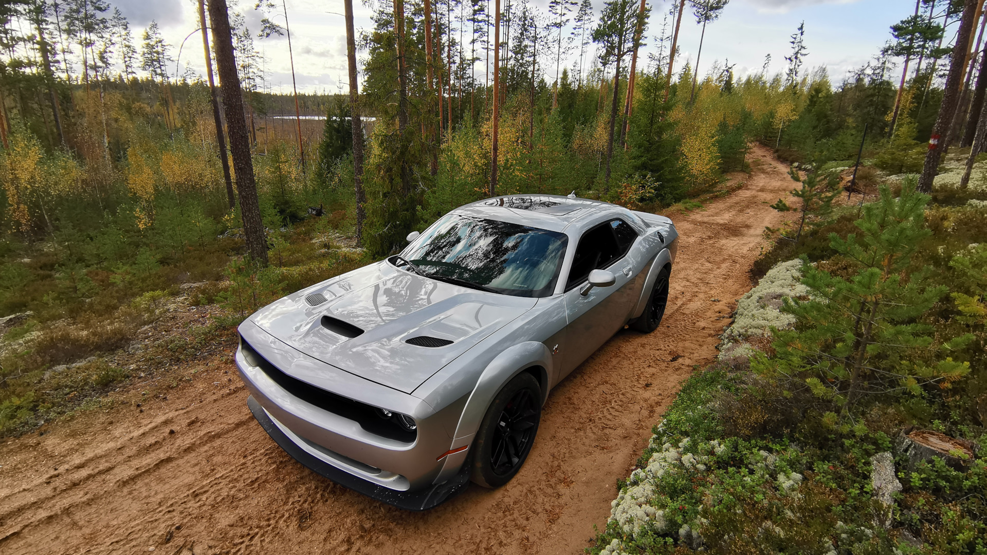 Dodge Challenger 6.4 бензиновый 2019 | Scat Pack 6.4 L животное на DRIVE2