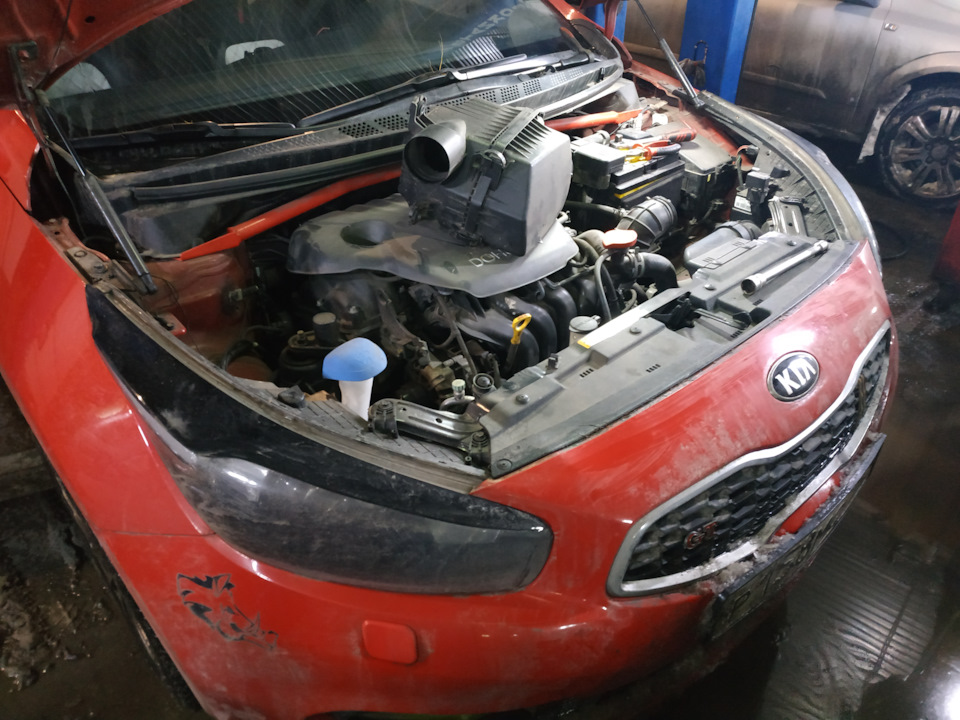 Очередная замена масла в моторе и вторая в коробке. — KIA Ceed SW (2G ...