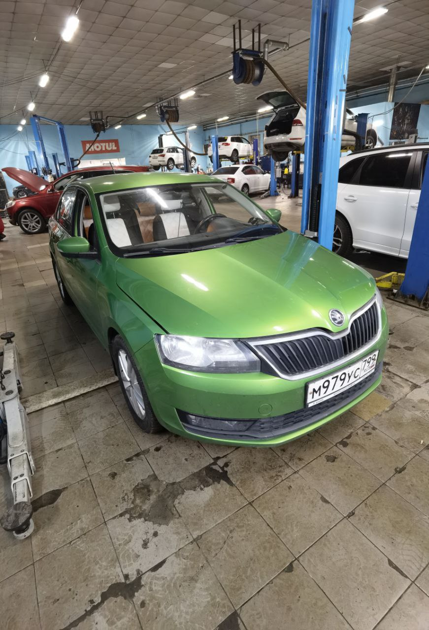 Глобальное ТО, неприятности и дальнейшие планы — Skoda Rapid (1G), 1,4 л,  2018 года | техосмотр | DRIVE2