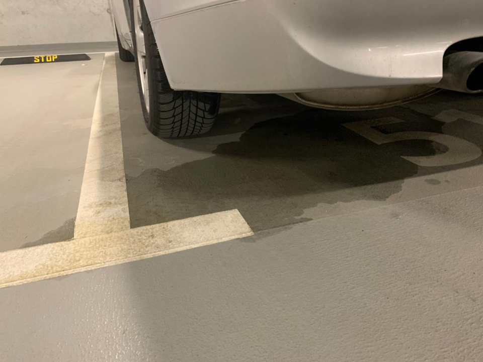 лужица — BMW 5 series (E60)