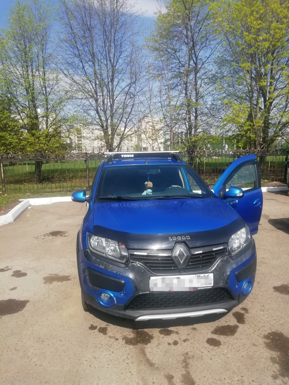 Фейринг — Renault Sandero Stepway (2G), 1,6 л, 2015 года | стайлинг | DRIVE2