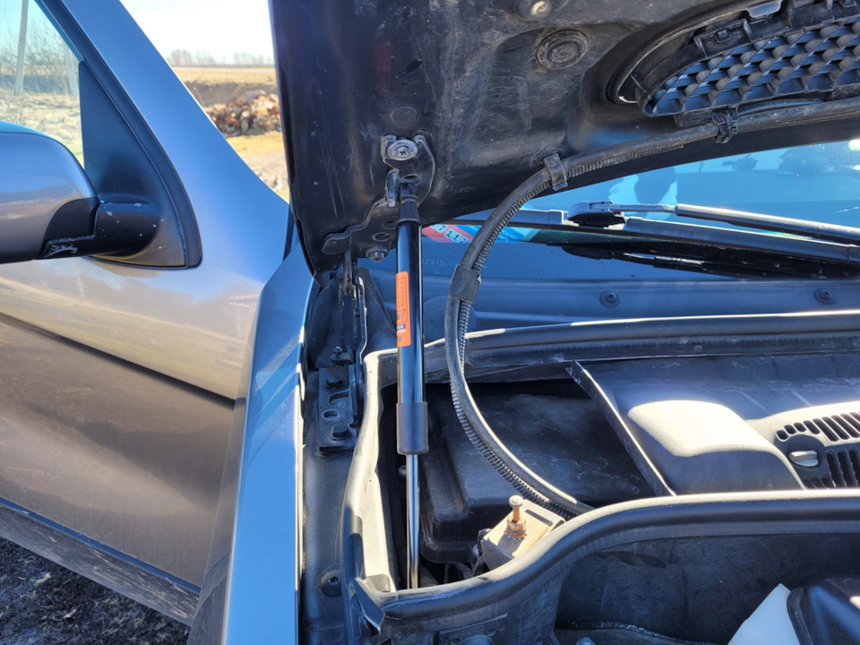 Фото в бортжурнале BMW X5 (E53)