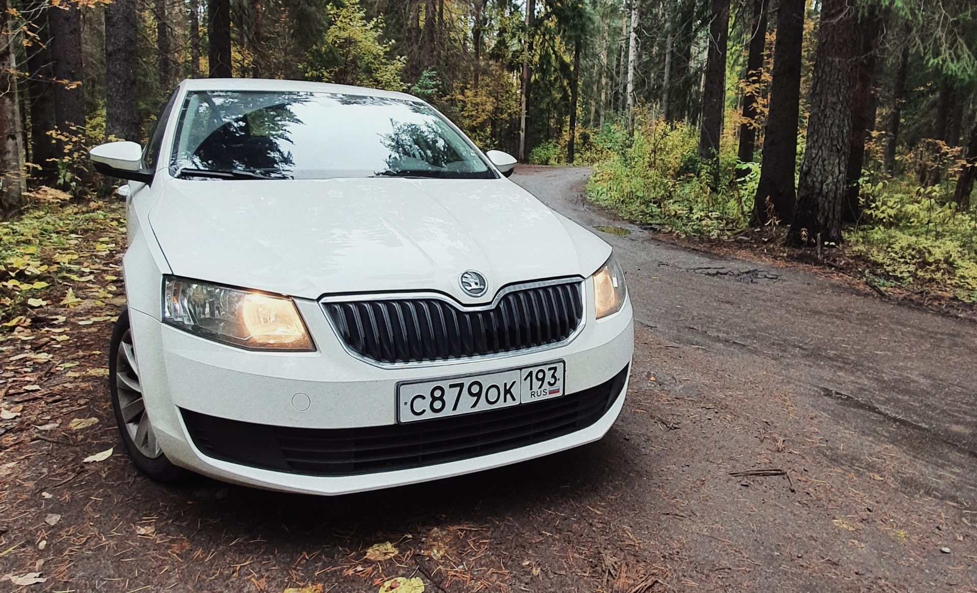 Ремень ГРМ (плановая замена). Skoda Octavia A7 — Skoda Octavia A7 Mk3 ...