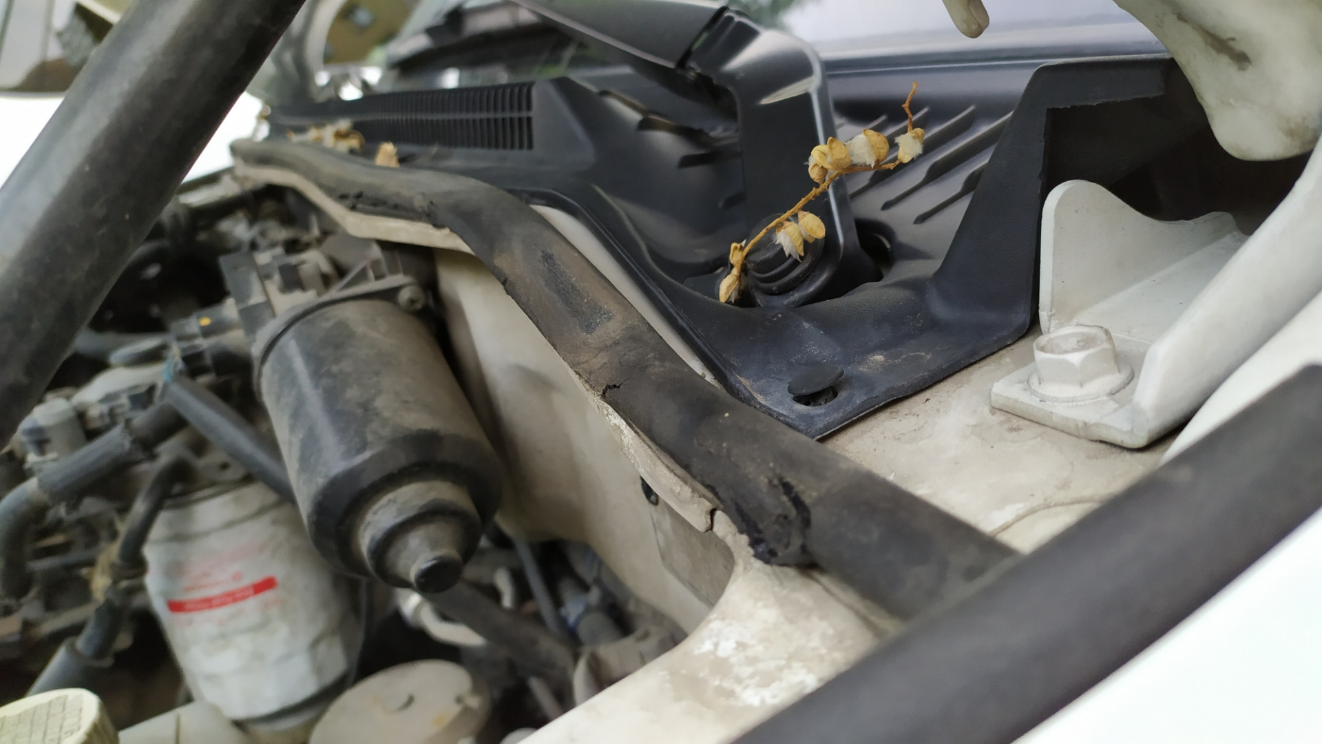 Течь жабо - Peugeot 308 (1G), 1,6 л, 2011 года просто так DRIVE2