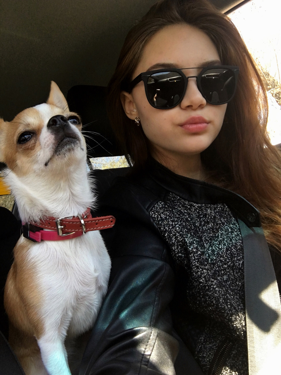 Фотография «Вот эта мелкая Мадам, садясь в мою машину, начинает ...