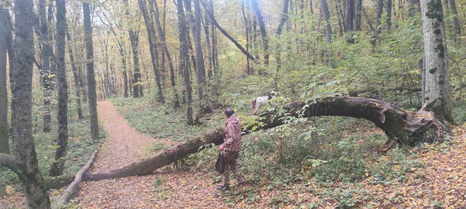 Фото в бортжурнале Mitsubishi Pajero (4G)