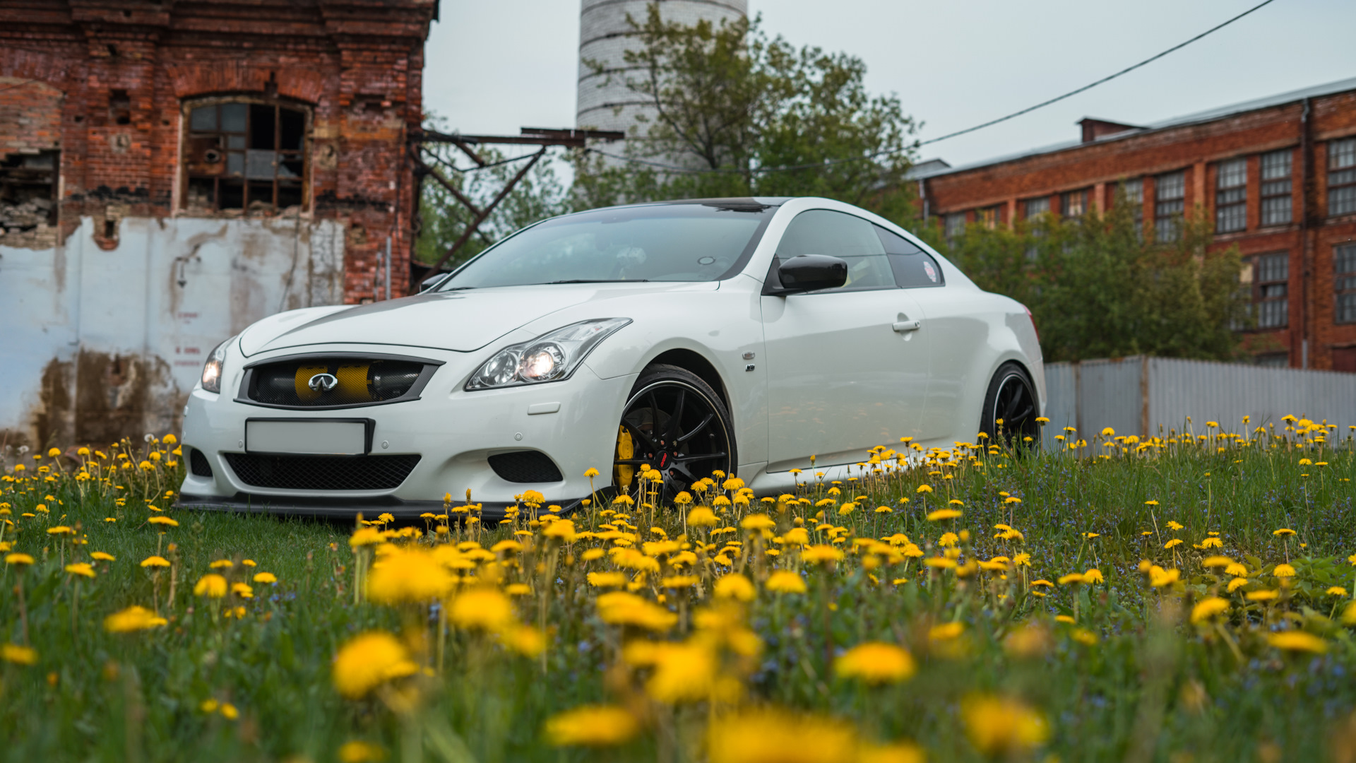 Infiniti G37 Coupe 3.7 бензиновый 2009 | Z1oy Atmo/Carbon Edition на DRIVE2