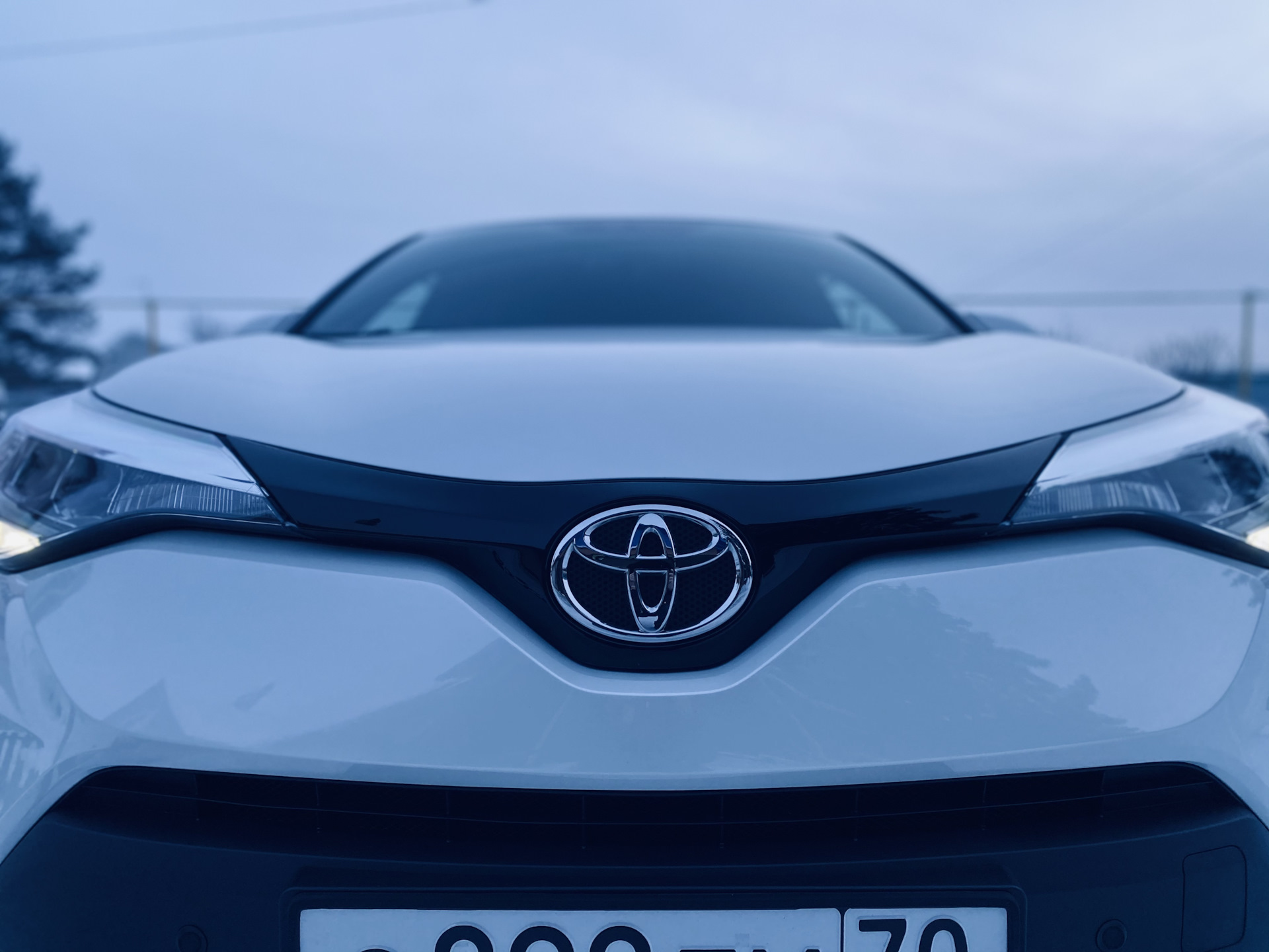 Toyota Chr оптика