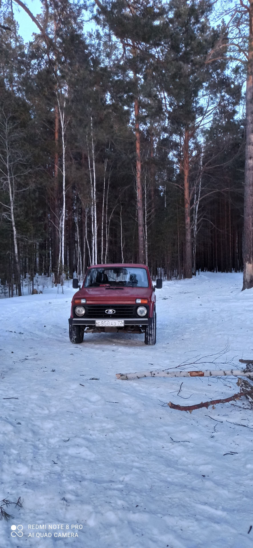 Решетка радиатора старого образца — Lada 4x4 3D, 1,7 л, 1994 года ...