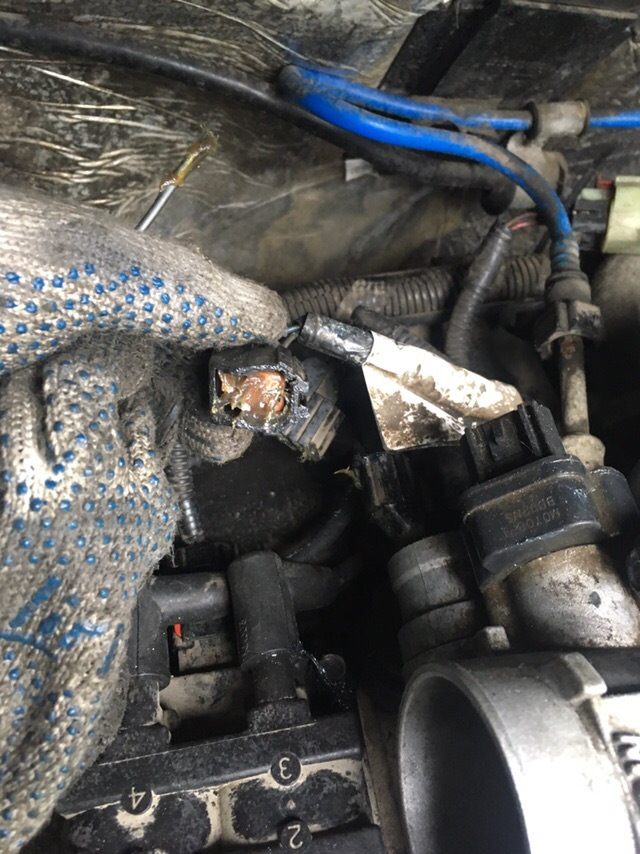 Зимние шины — Ford Transit (7G), 2,2 л, 2010 года | шины | DRIVE2