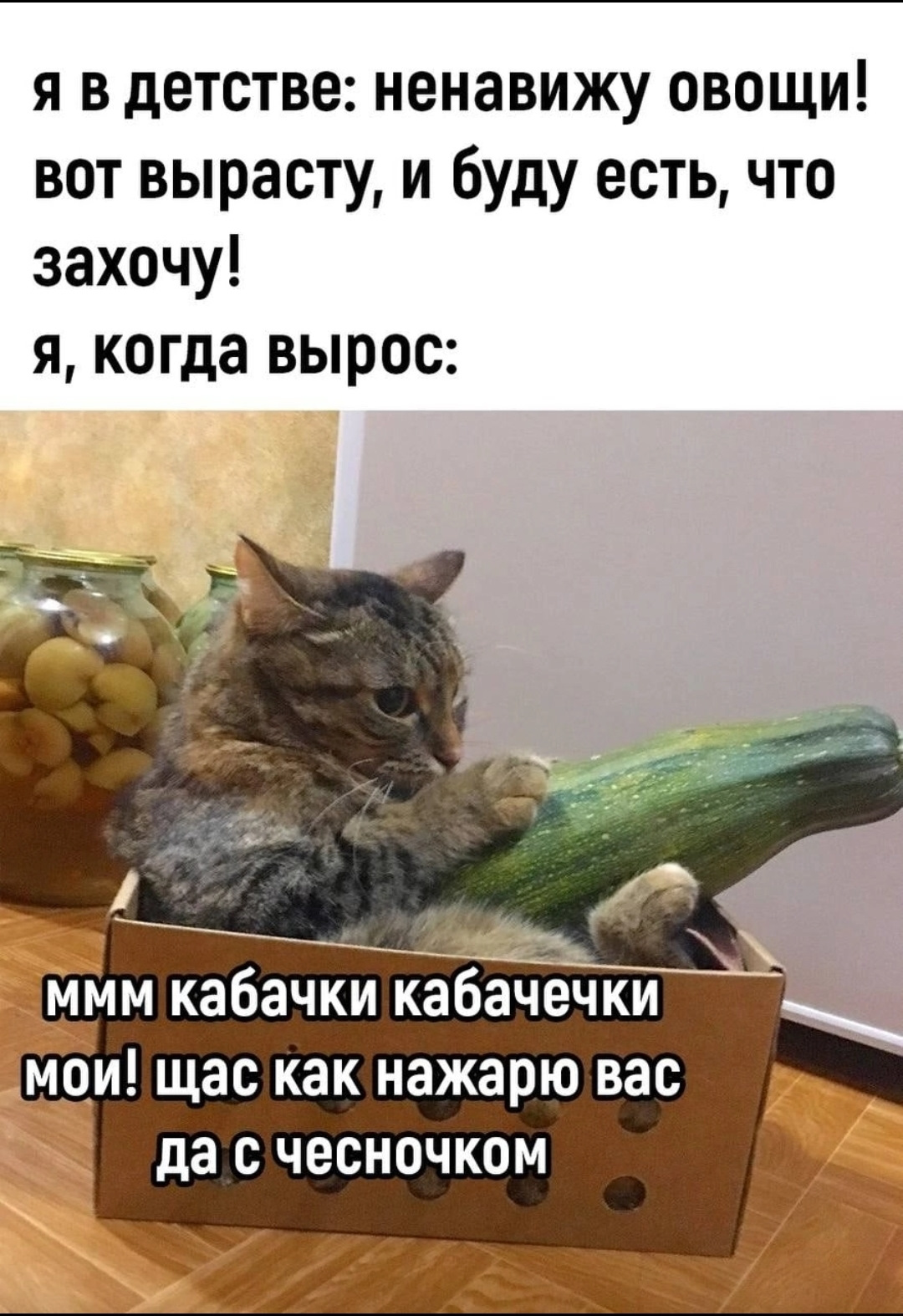 Кот с кабачком мем