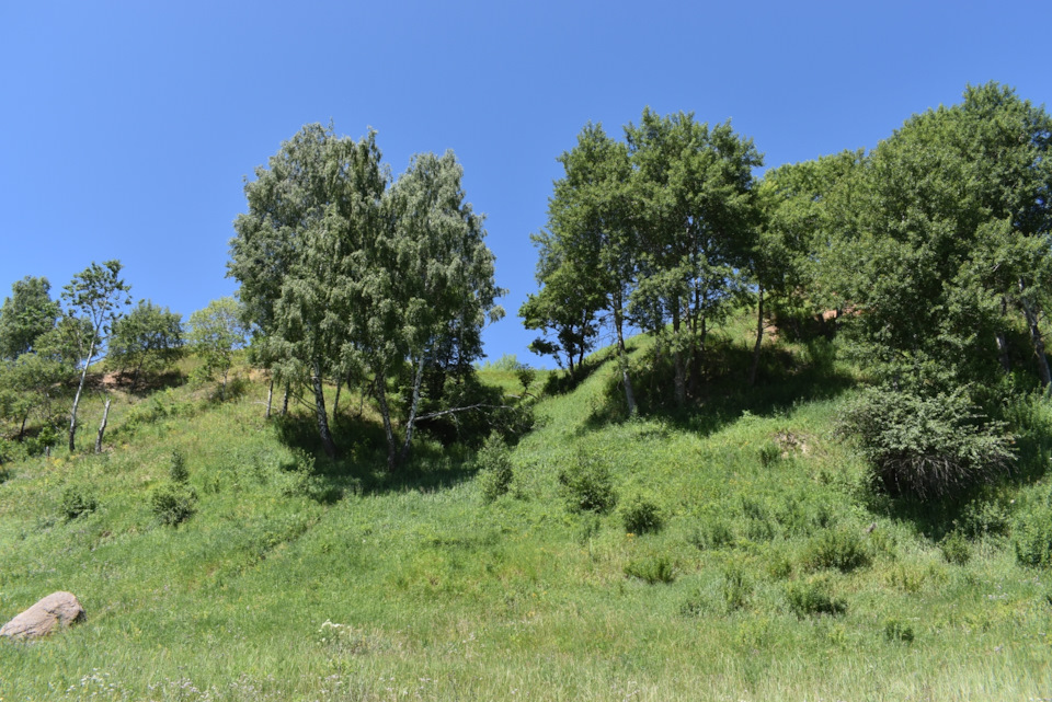 Тишь и гладь озера Тишь… — УАЗ 315195 Hunter, 2,7 л, 2018 года ...