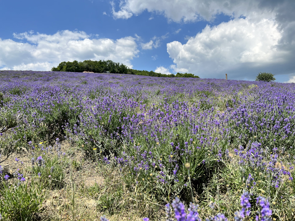 Первое бесплатное ТО — BMW 5 series (G30), 2 л, 2022 года | визит на ...