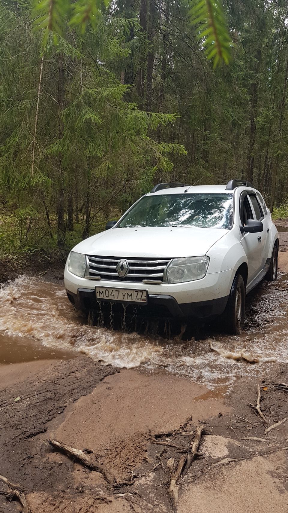 Озеро Селигер и его окрестности — Renault Duster (1G), 2 л, 2013 года |  путешествие | DRIVE2