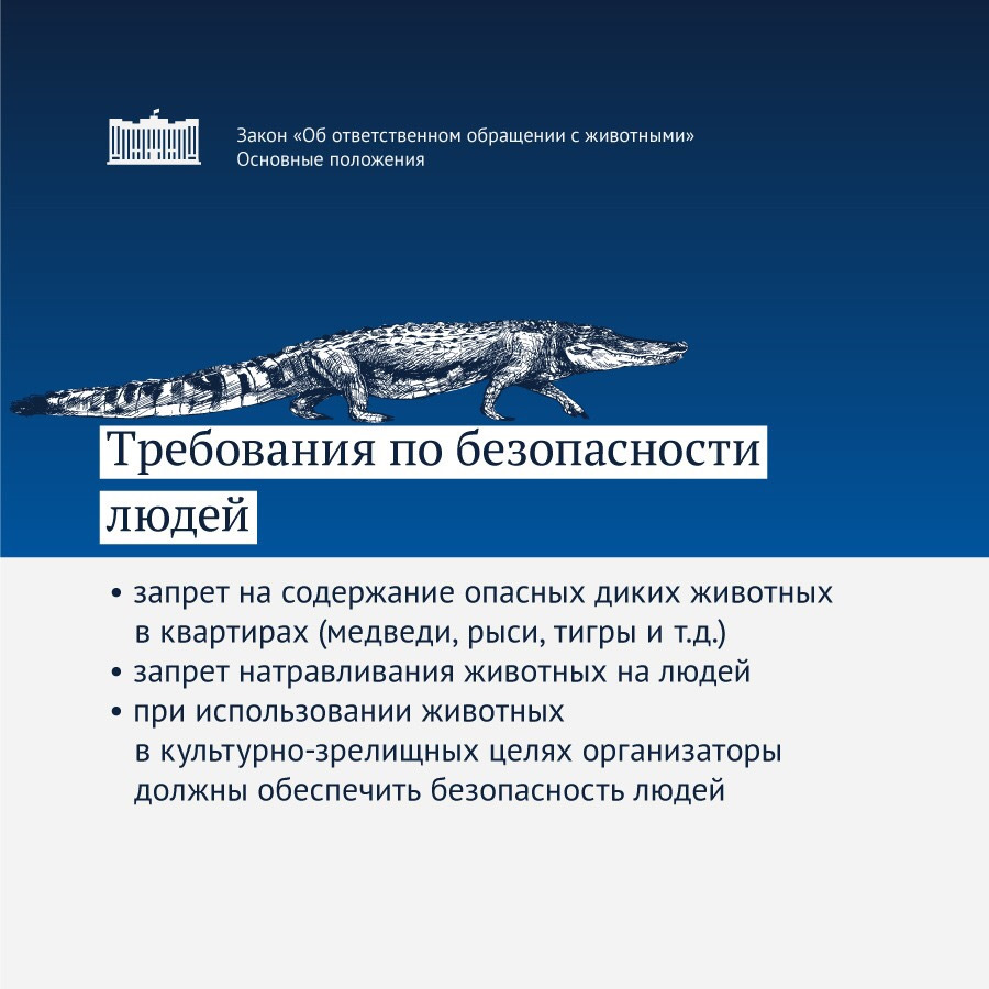 Проект закона об ответственном обращении с животными