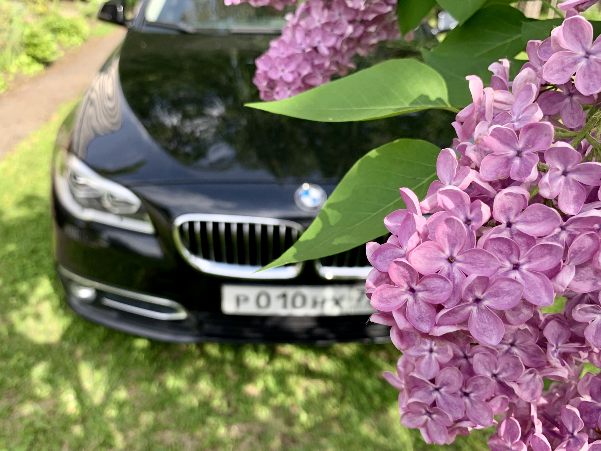 Сажа, нагар и детонация (всё, что хотели знать о чистке впуска) — BMW 5  series (F10), 3 л, 2015 года | визит на сервис | DRIVE2