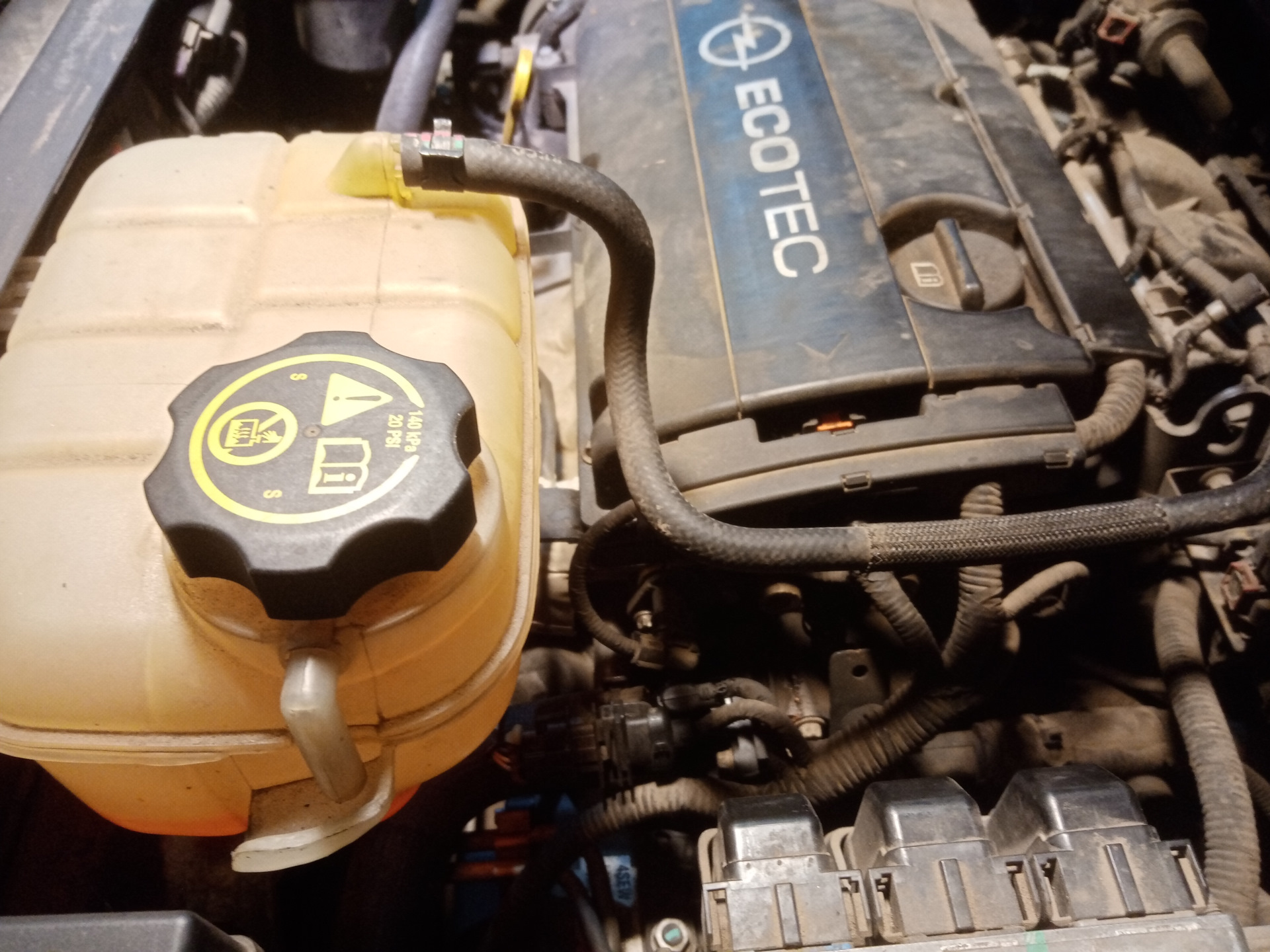 Замена термостата и его корпуса #1 — Opel Mokka (1G), 1,8 л, 2014 года ...