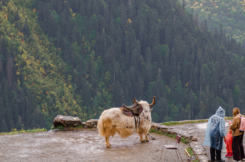 q 3t4hxjS17osCQg Z4hdKboYYM 960 дождь в домбае что делать