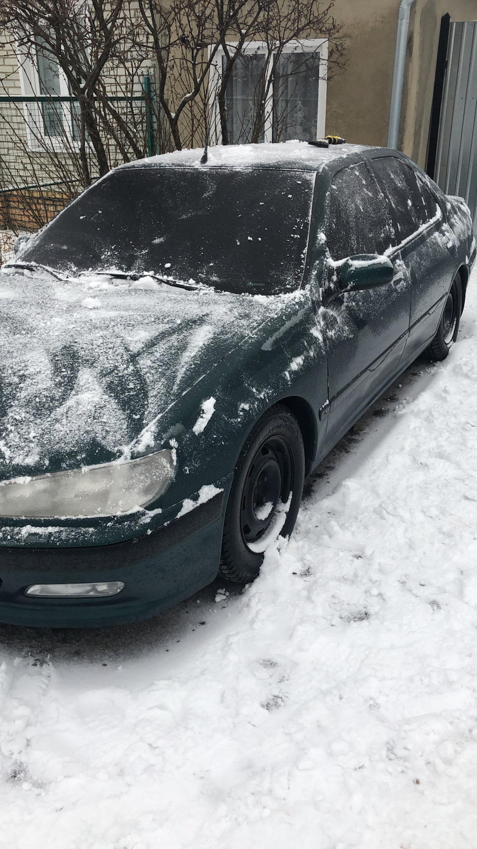 9. Мелкий ремонт, снег и мойка. — Peugeot 406, 2 л, 1997 года | своими  руками | DRIVE2