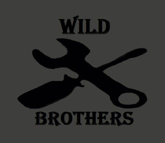 Wild brothers. 2 Brothers сервис.