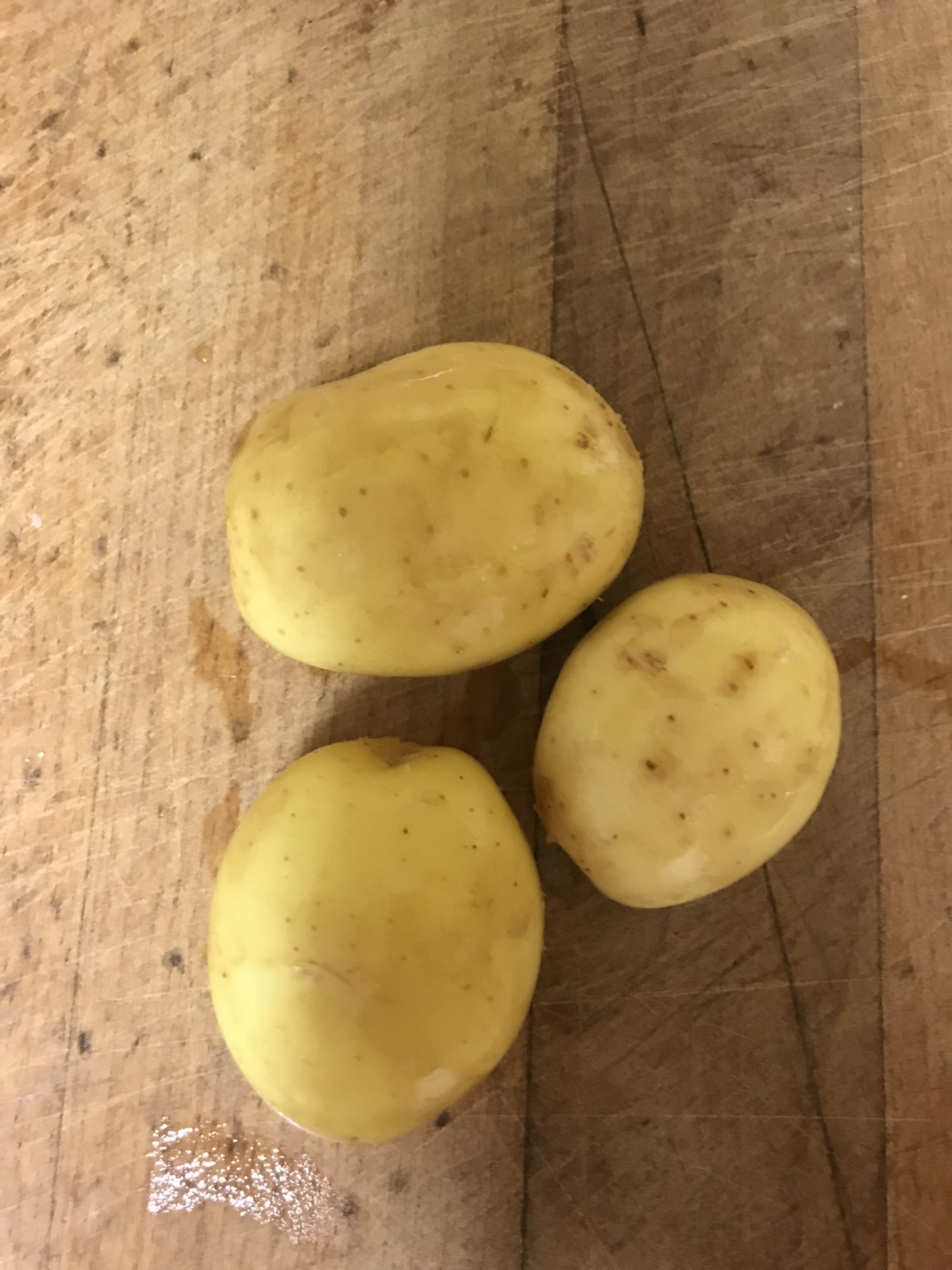 Царь-рыба или рыбный супчик — Сообщество «Отдых, Развлечения и Досуг ...