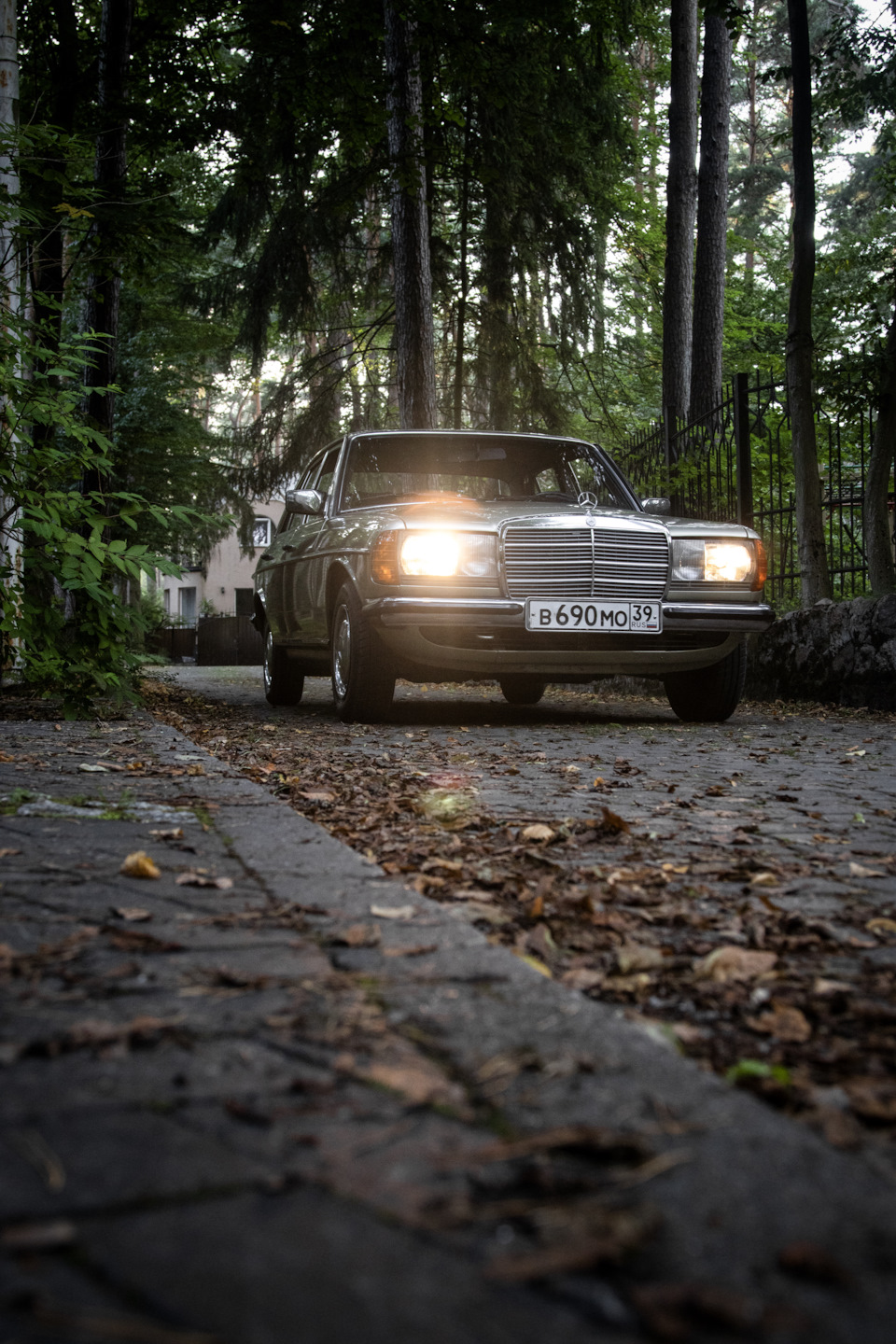 С днём рождения W123, с юбилеем, Ровесник — Mercedes-Benz W123, 2,3 л, 1984  года | просто так | DRIVE2