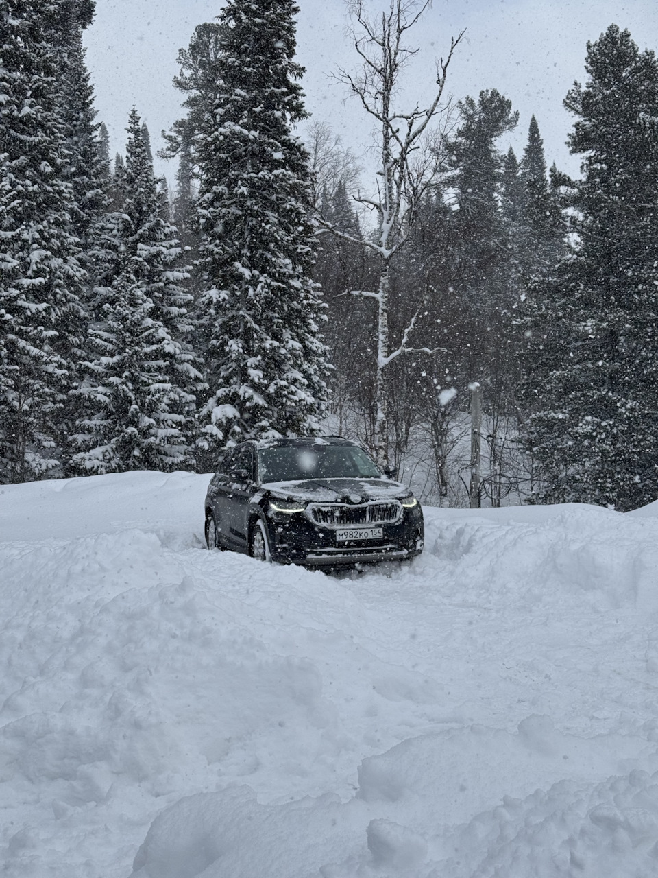 Фото в бортжурнале Skoda Kodiaq (1G)