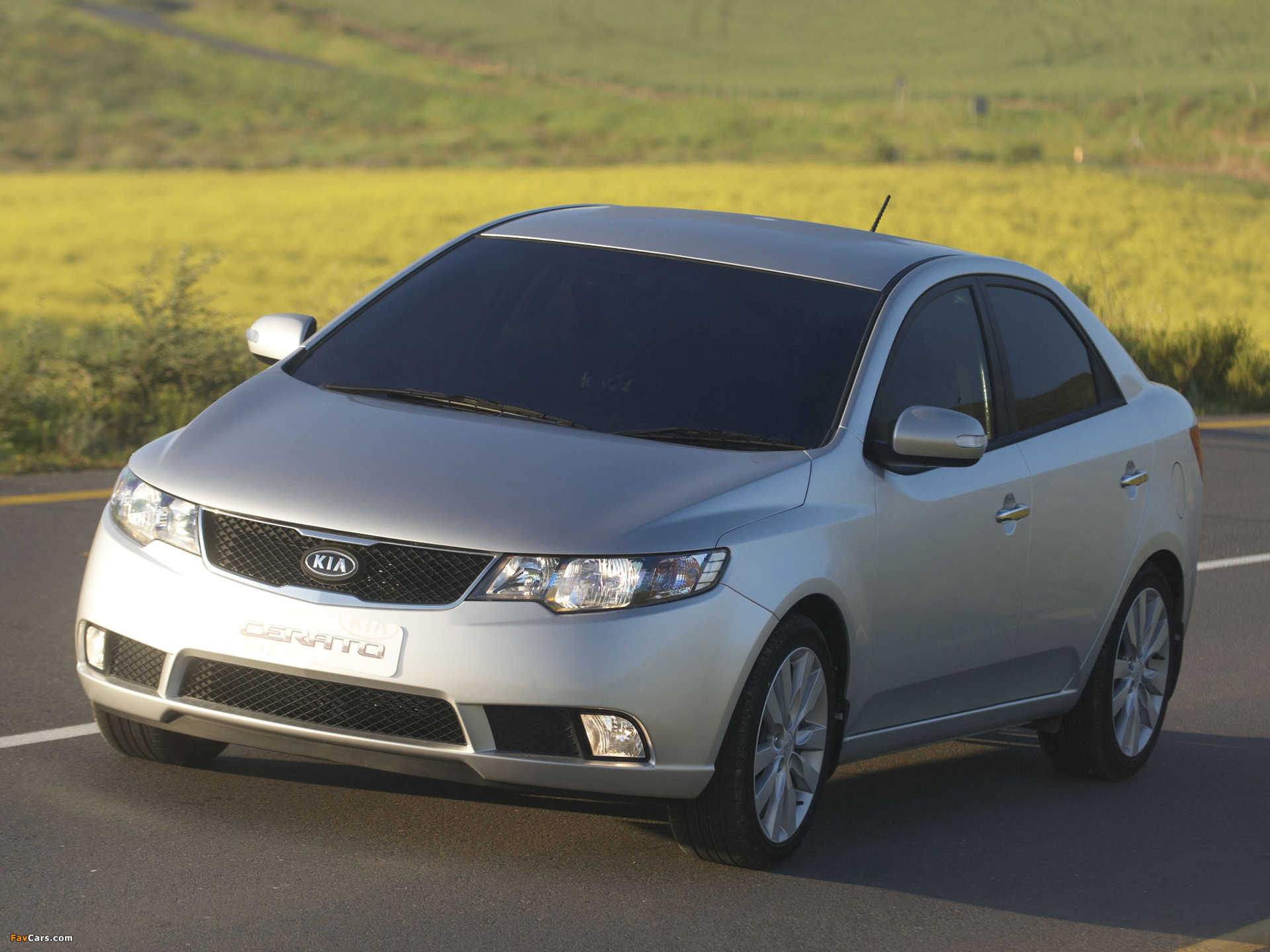 Cerato 2 фото