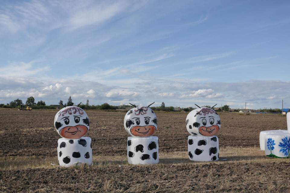 Фото в бортжурнале Toyota Sequoia (1G)