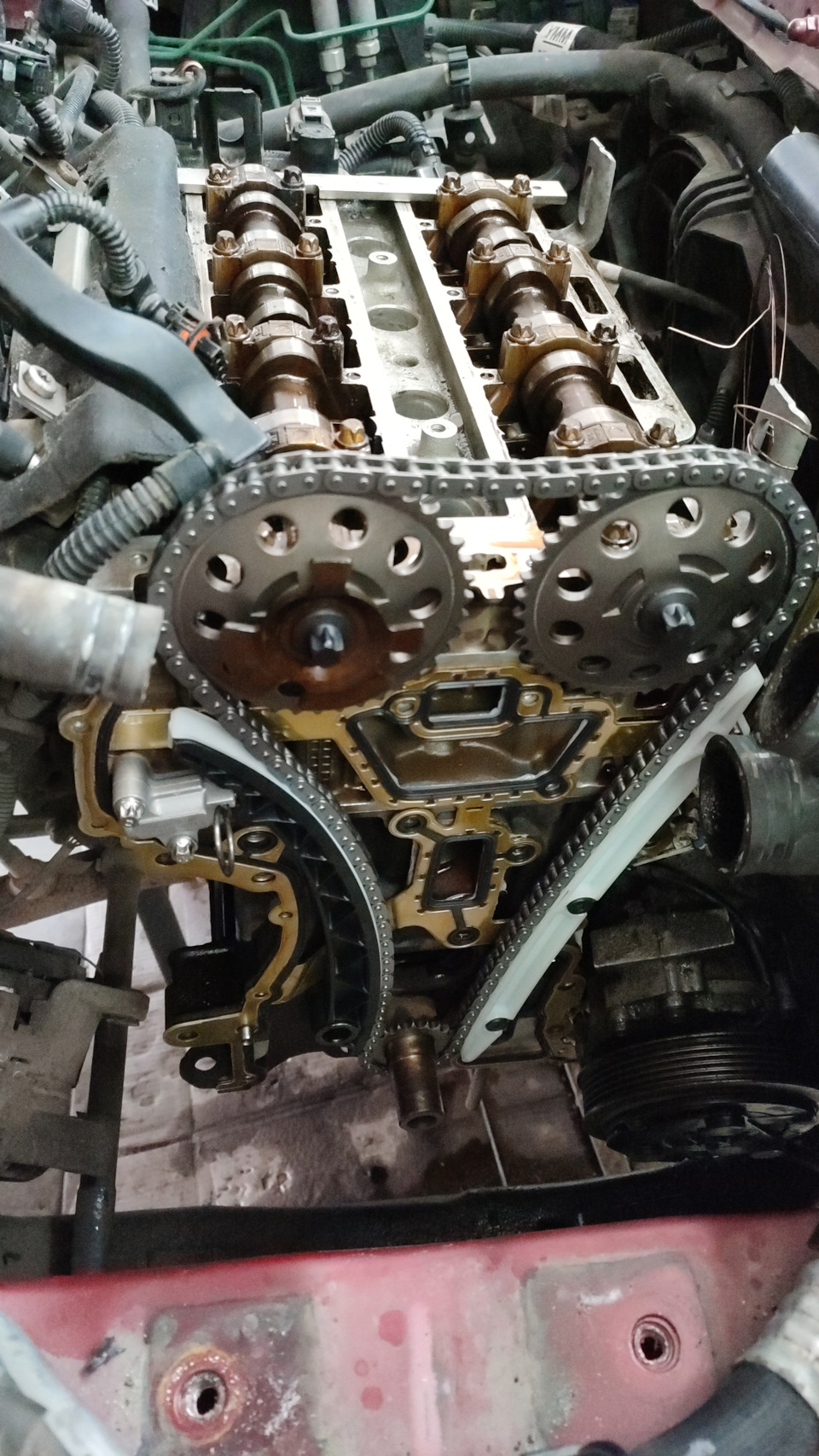 Замена цепи ГРМ, помпы, антифриза, чистка дроссельной заслонки. — Opel ...