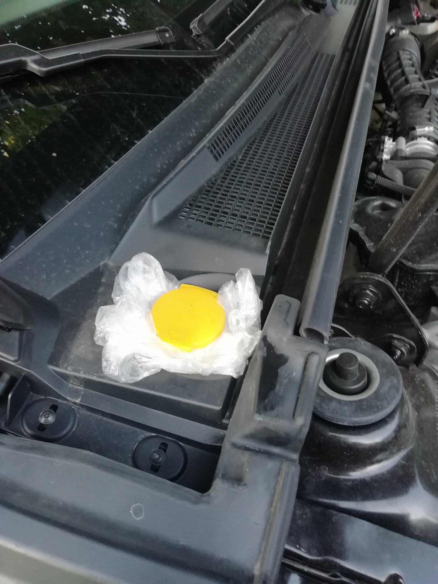 "Знаменитая" крышка бачка омывателя - Renault Arkana, 1,3 л, 2019 года наблюдени