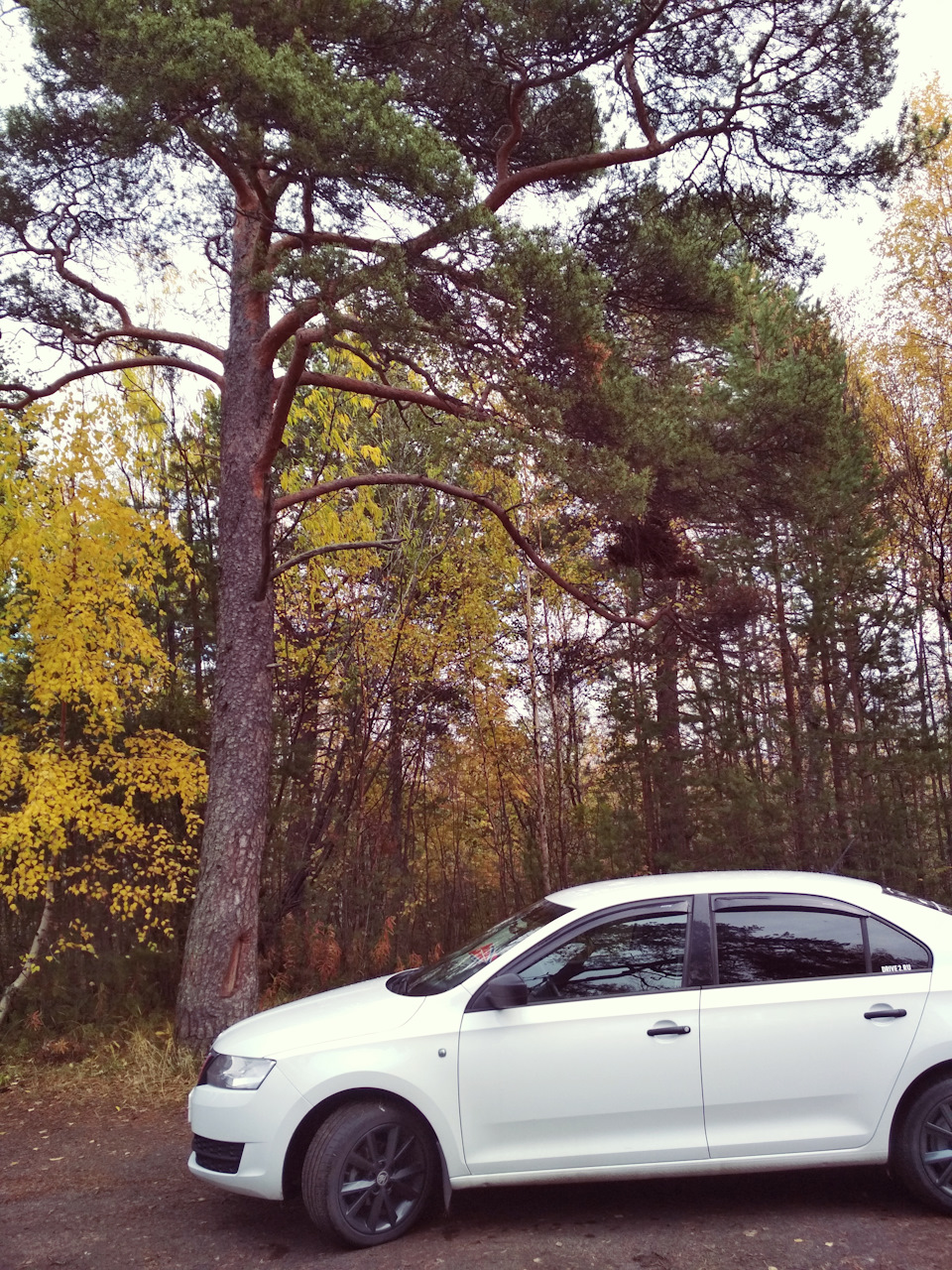 Читая в комментах: много Букфф, Бред, Нас рать… — DRIVE2