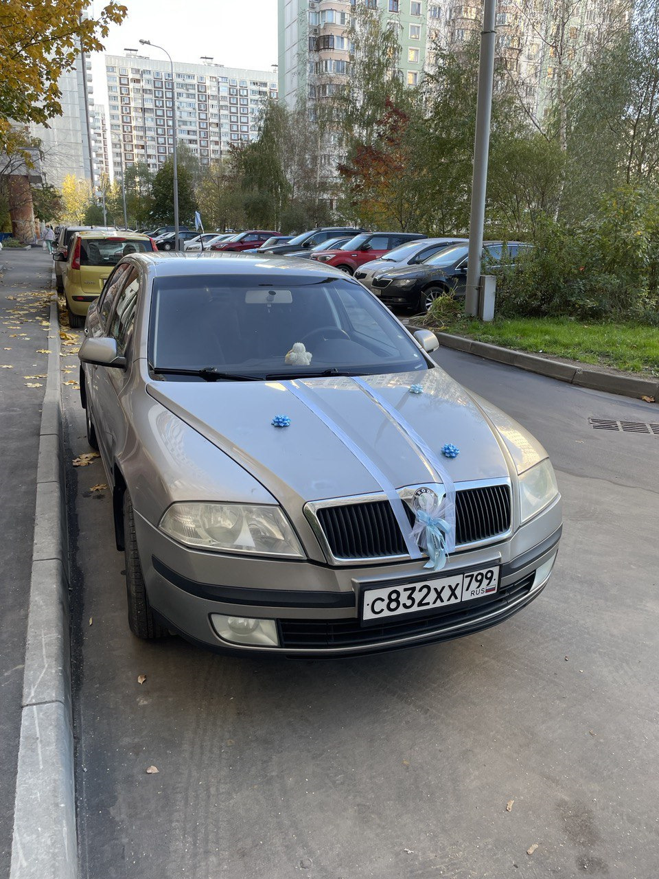 Не заводится Шкода Октавия А5. За 24 часа до поездки в роддом — Skoda  Octavia A5 Mk2, 1,6 л, 2008 года | поломка | DRIVE2