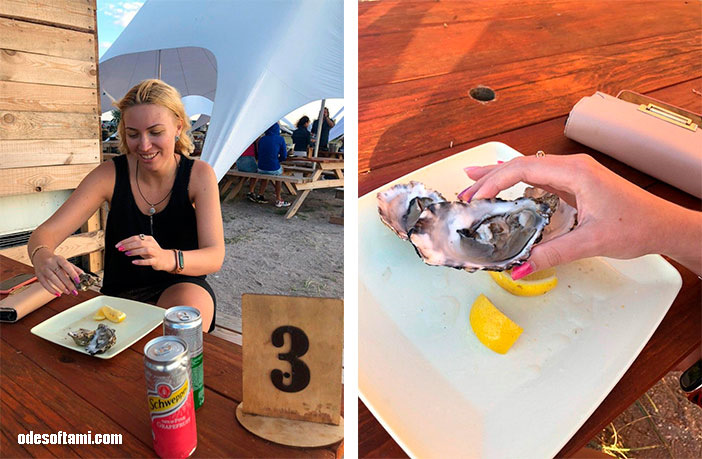 Устричная ферма — Устрицы Скифии — Mitsubishi Outlander XL, 2,4 л, 2008 ...