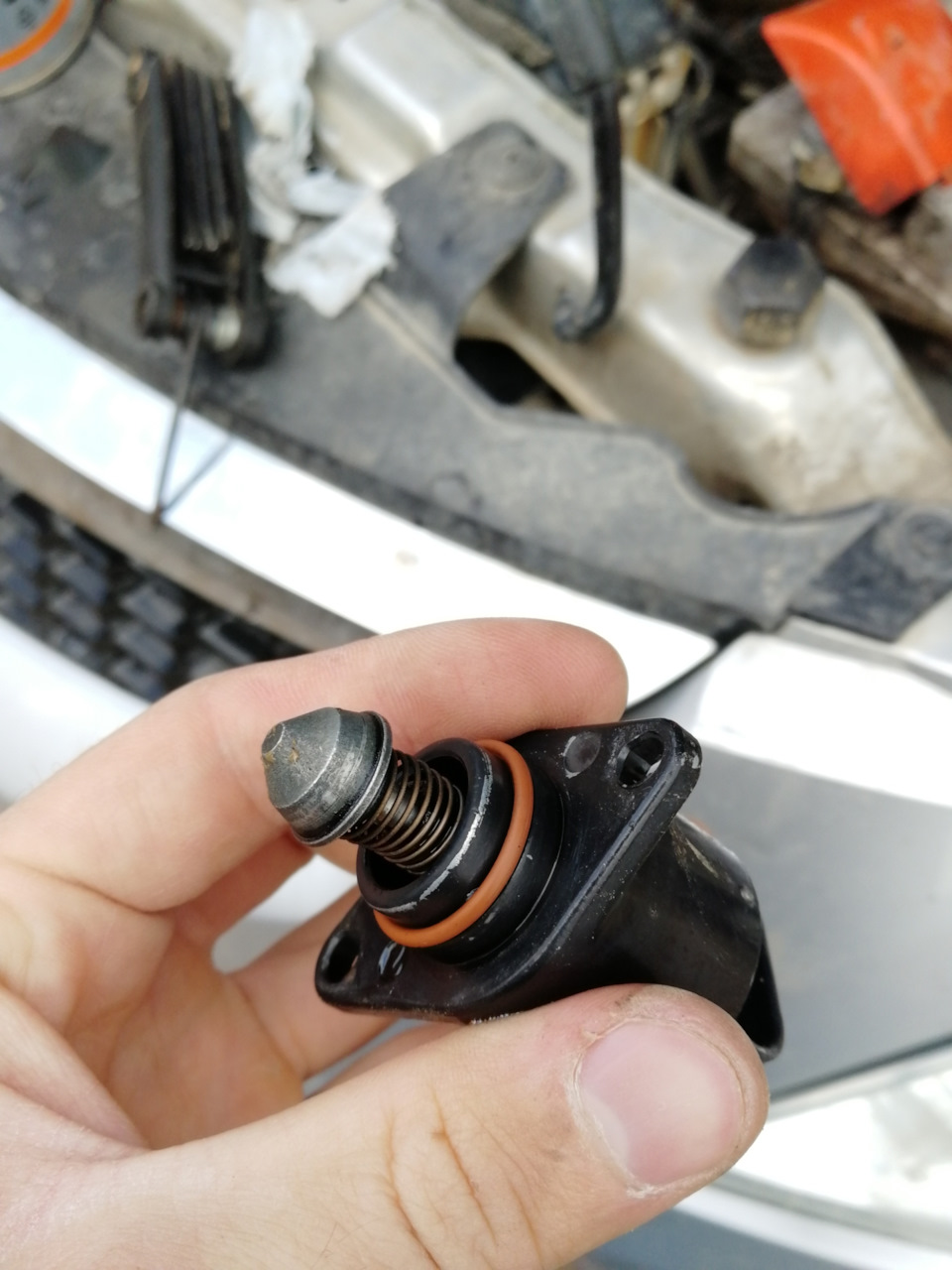 Фото в бортжурнале Great Wall Hover