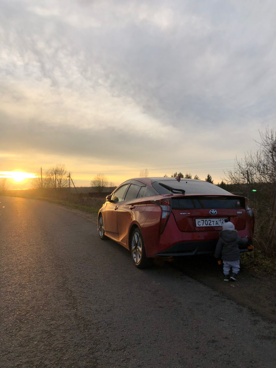 Первая встреча и первые впечатления — Toyota Prius (50), 1,8 л, 2016 года |  наблюдение | DRIVE2