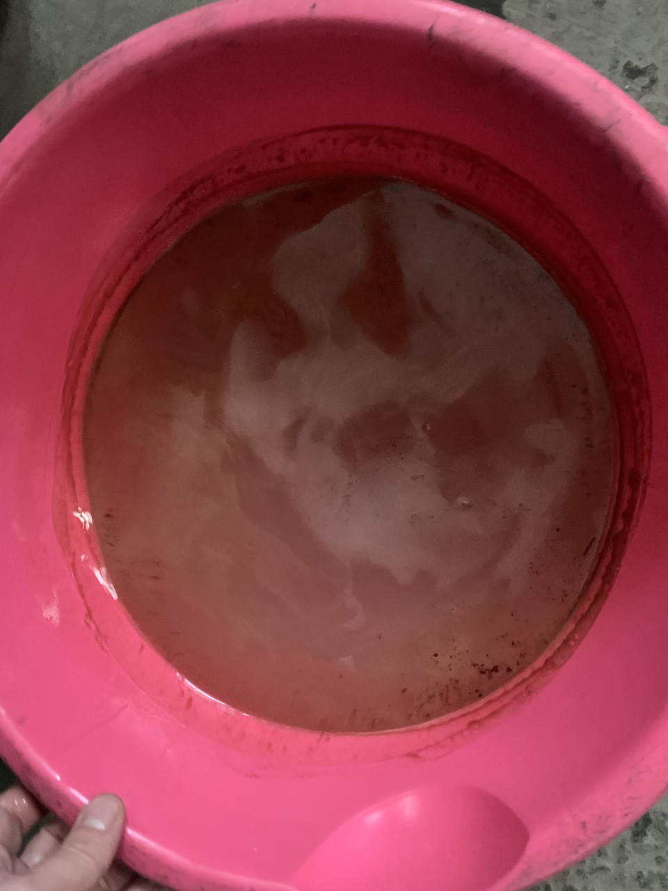 Масло в бачке антифриза — Сообщество «Skoda Octavia Club» на DRIVE2