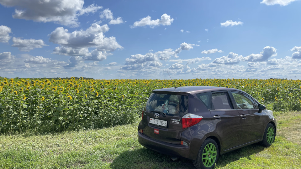 Toyota Verso S Баклажан на палочке