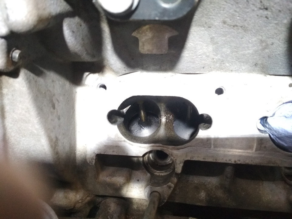 быстро однако — Skoda Octavia A5 Mk2