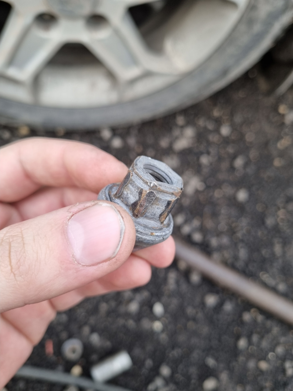 Вместо 19, стала на 18 — Ford Focus Wagon III