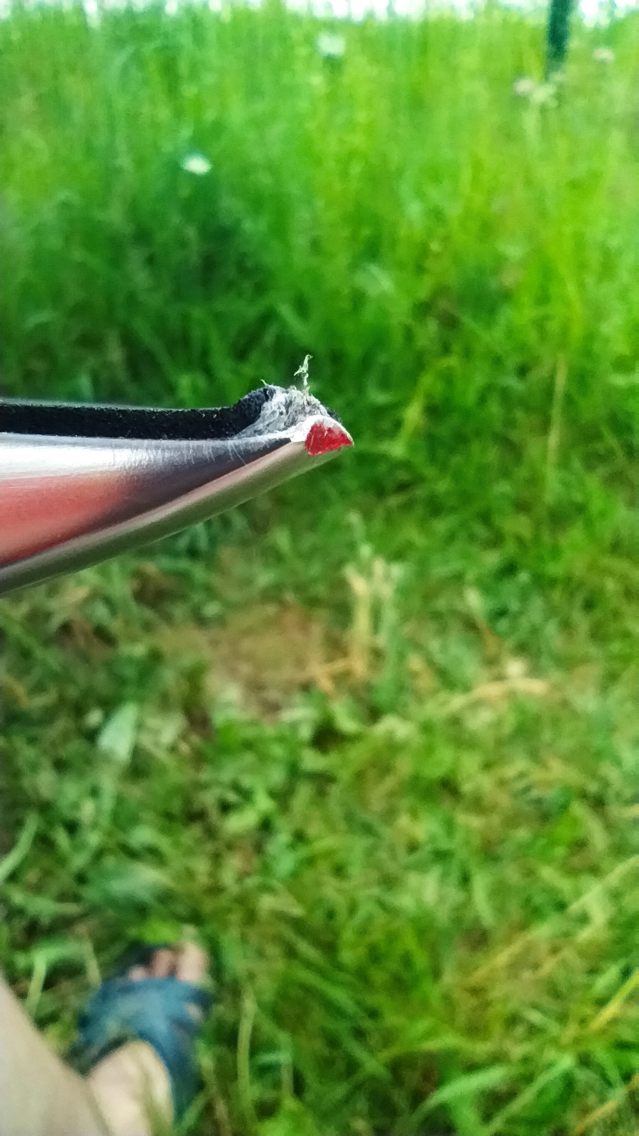 16. Установил рейлинги с Aliexpress — Mercedes-Benz B-Class Electric ...