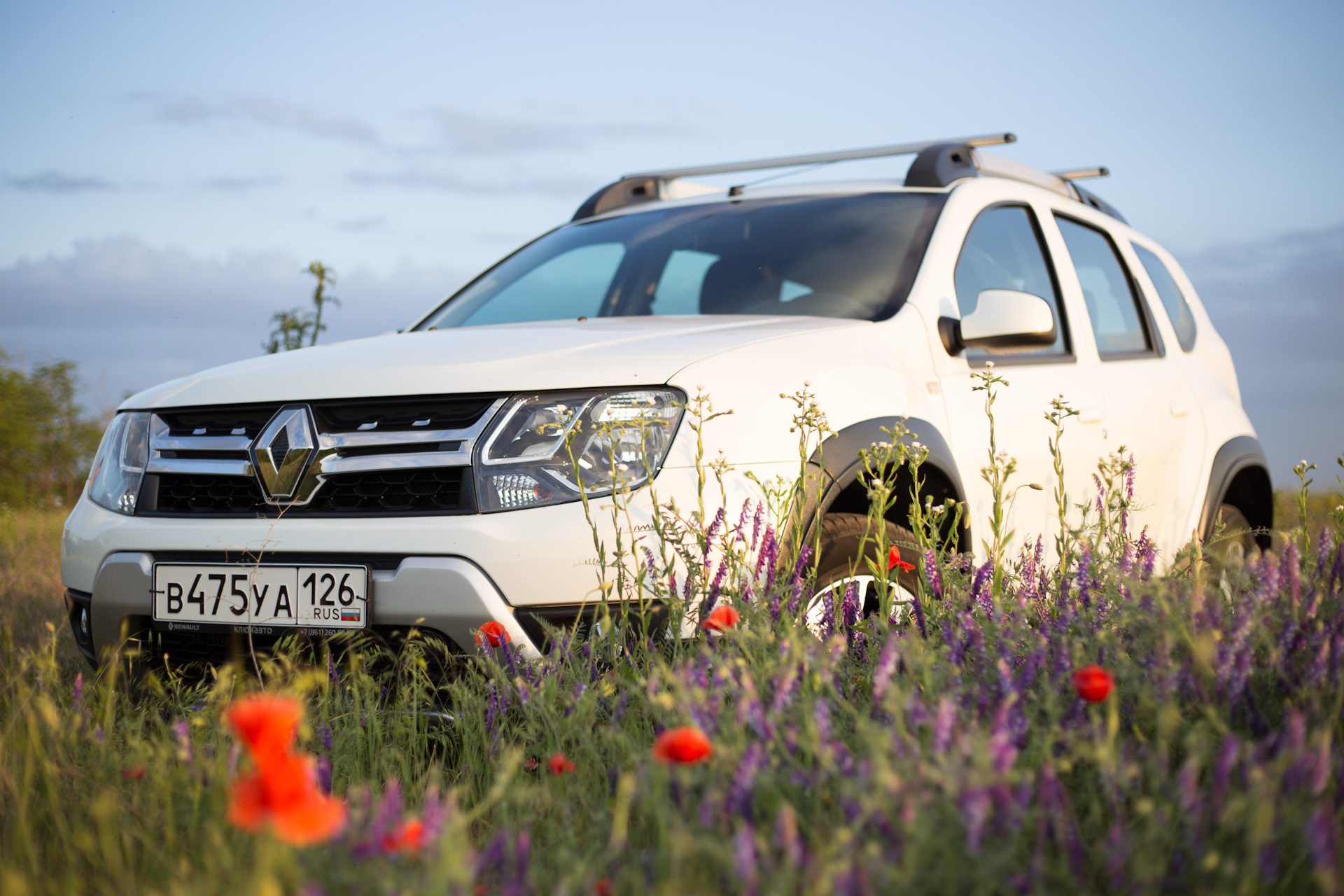 Renault Duster в лесу фото. Рено Дастер греется двигатель. Renault Duster в деревне фото.