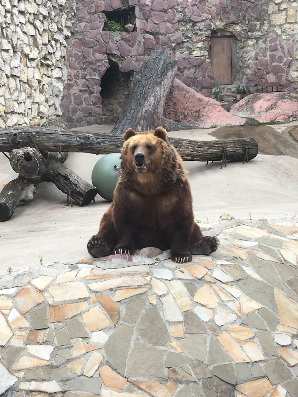 Наш бурый друг — Lada Granta