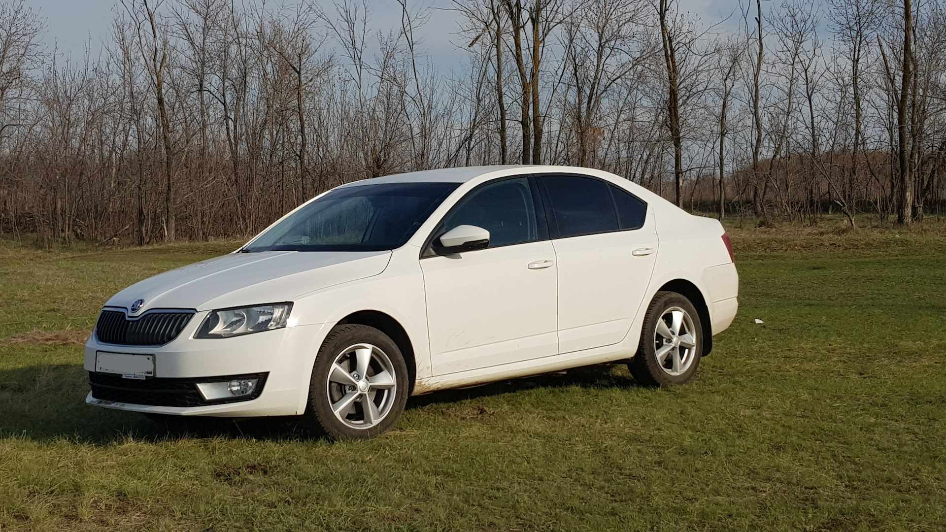 Skoda Octavia A7 Mk3 1.6 бензиновый 2015 | Ambition 1,6 AT CWVA на DRIVE2