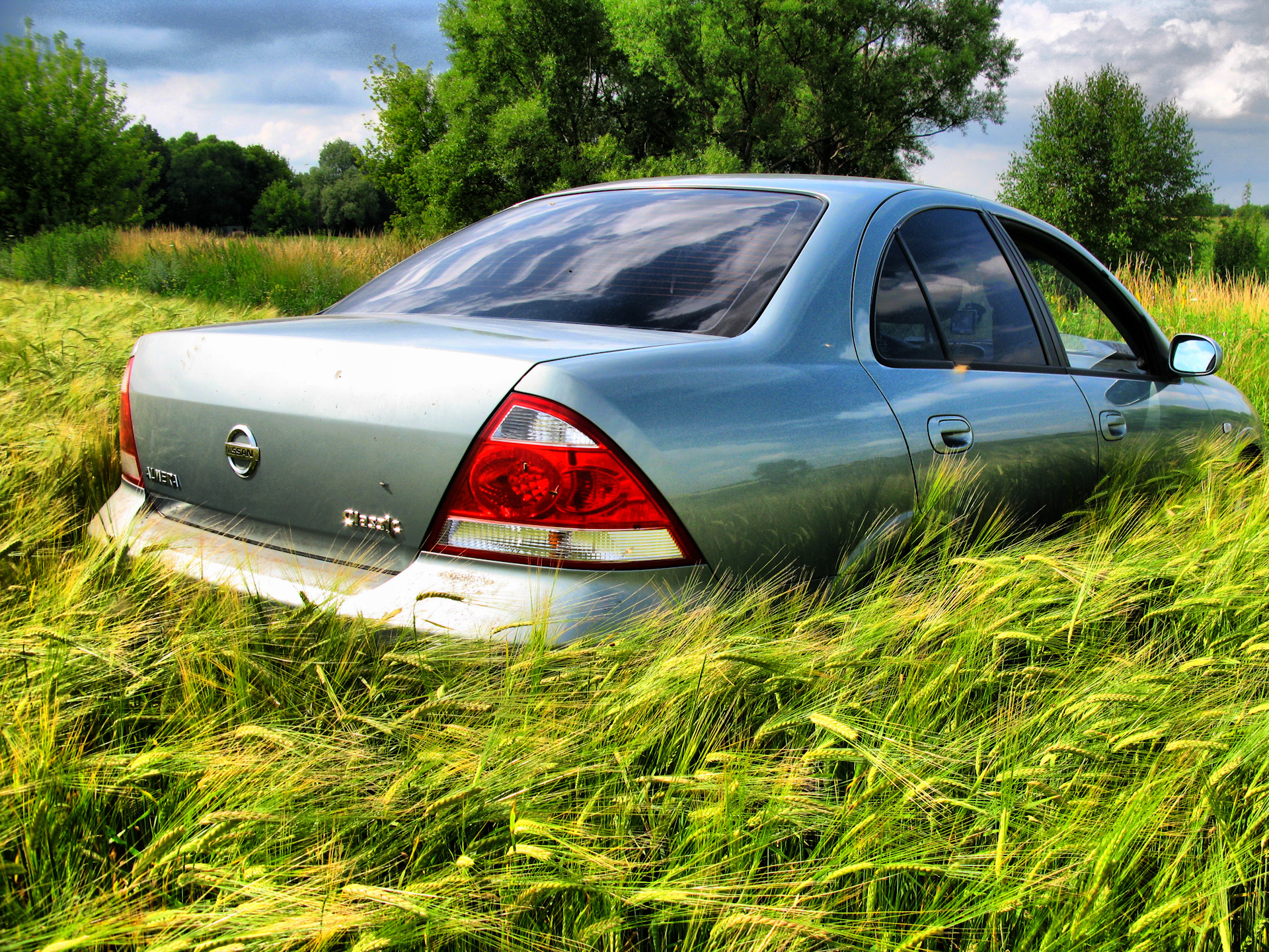 Nissan almera classic b10. Ниссан Адель. Ниссан Адель 2001. Ниссан в поле. Автомобиль Ниссан в поле.