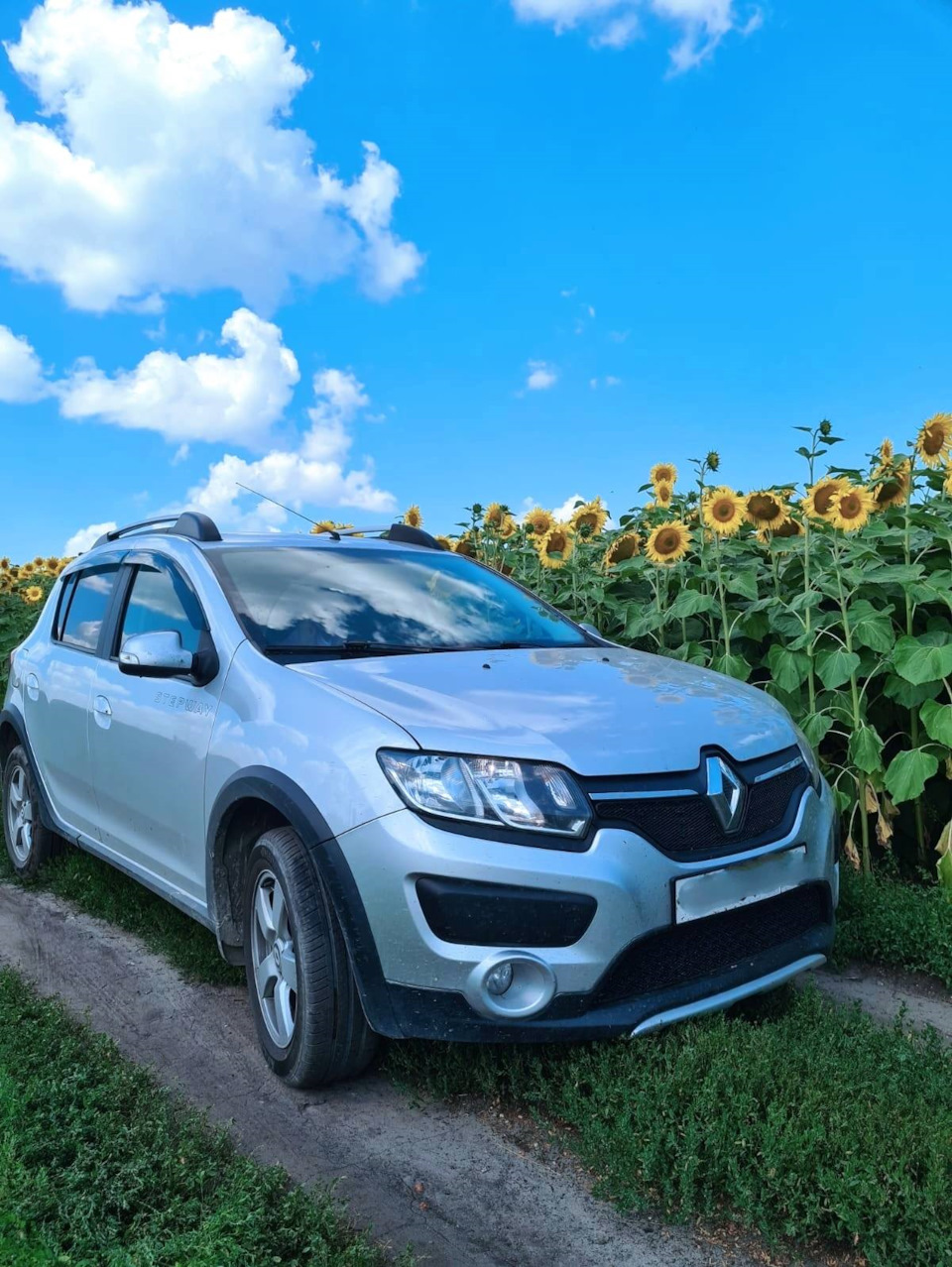 Шаровая опора — Renault Sandero Stepway (2G), 1,6 л, 2017 года | визит ...