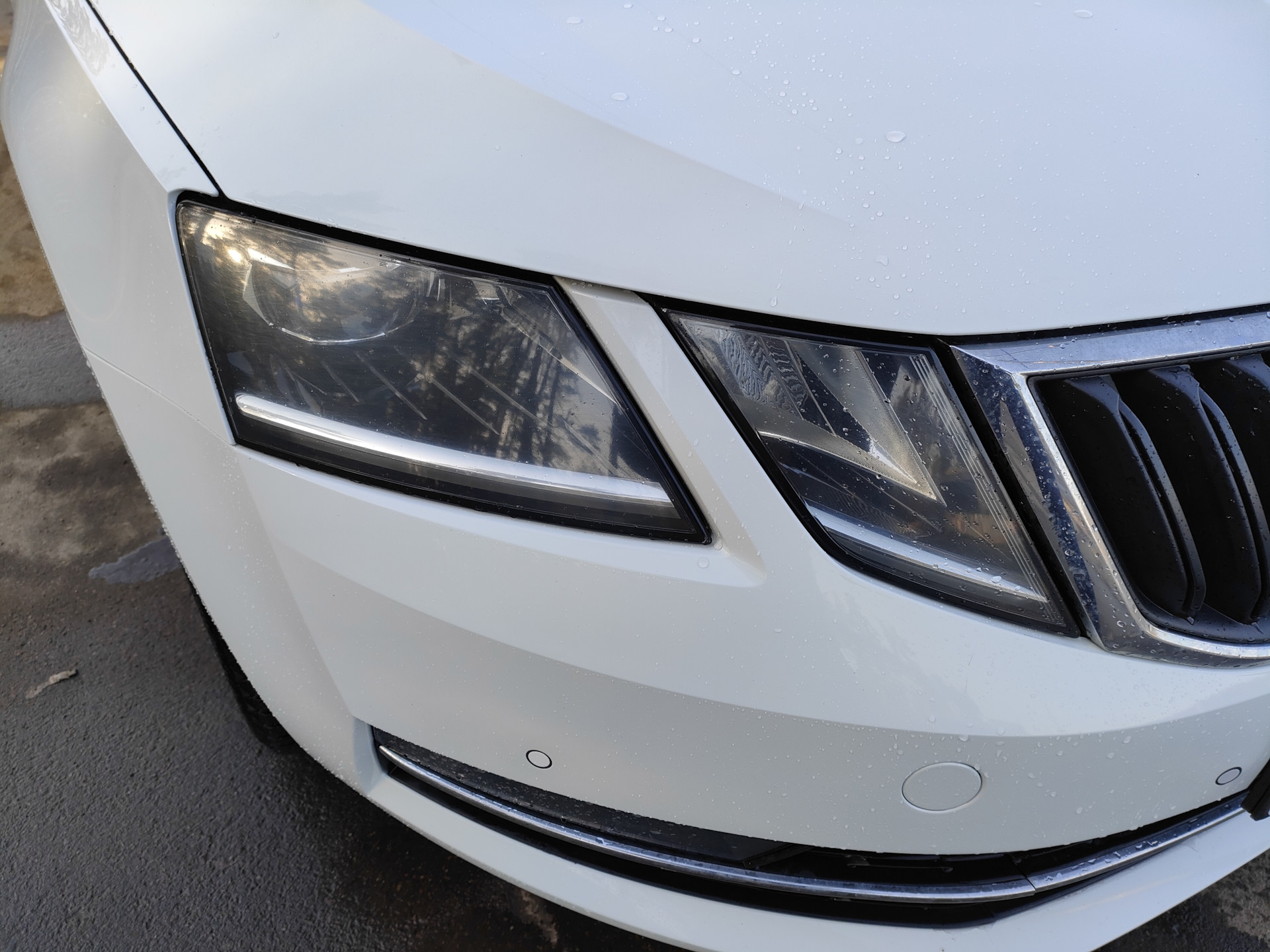 Последние доработки Шкода Октавия А7. — Skoda Octavia A7 Mk3, 1,4 л ...
